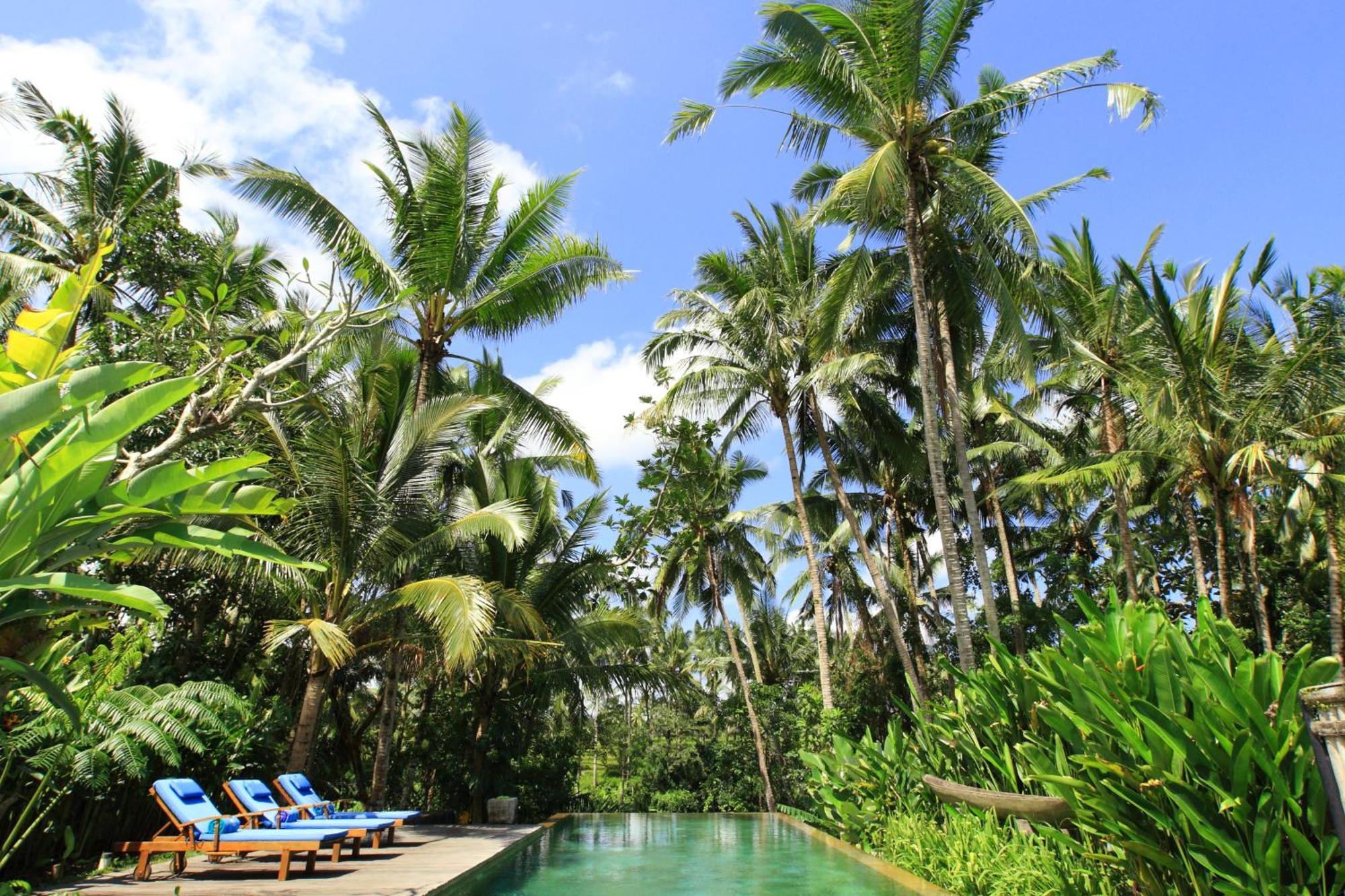 Swarapadi Villa Ubud Esterno foto